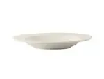Tuxton China AMU-069