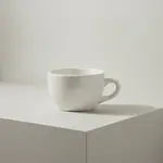 Tuxton China TNR-001