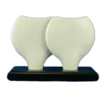 Vertex China AV-SS