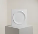 Vertex China AV-V21