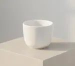 Vertex China CTC-45-P