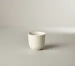 Vertex China CTC-45-W