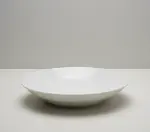 Vertex China RA-25