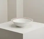 Vertex China RB-11-LTC