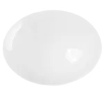 Vertex China RS-13