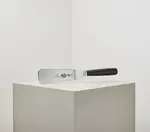 Victorinox Swiss Army 5.2763.16