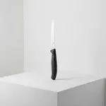 Victorinox Swiss Army 6.7233