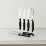 Victorinox Swiss Army 6.7233.6