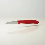 Victorinox Swiss Army 6.7301