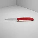 Victorinox Swiss Army 6.7431.C1