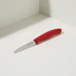 Victorinox Swiss Army 6.7601.C1