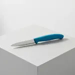 Victorinox Swiss Army 6.7602.C1