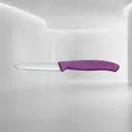 Victorinox Swiss Army 6.7605.C1