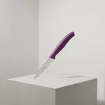 Victorinox Swiss Army 6.7635.C1