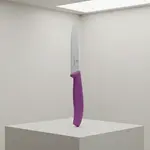 Victorinox Swiss Army 6.7705.C1