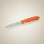 Victorinox Swiss Army 6.7709.C1