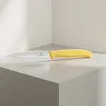 Victorinox Swiss Army 6.7738.C1