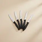 Victorinox Swiss Army 6.7833-X8