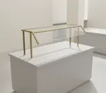 Vollrath PB89284 Traditional Breath Guard