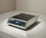 Waring WIH400X